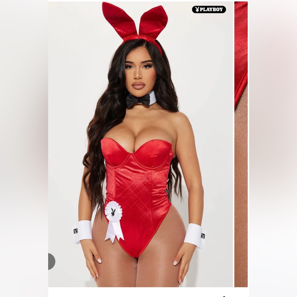 Brand new play boy bunny costume